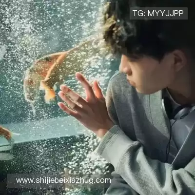 刁奕曦